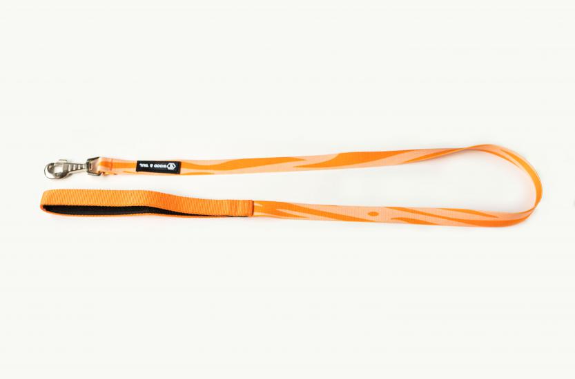 Orange Tiger Gezdirme Kayışı