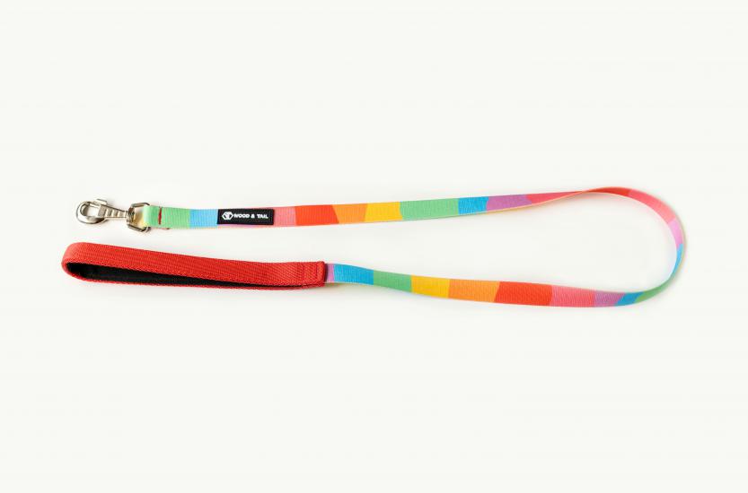 Vakkorama Exclusive Rainbow Gezdirme Kayışı