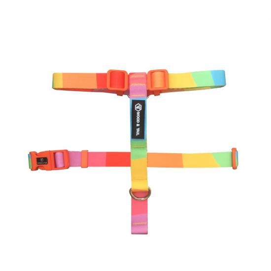 RAINBOW H TİPİ GÖGÜS TASMASI