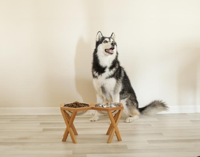 Ahşap Tasarım Kedi-Köpek Mama ve Su Kabı
