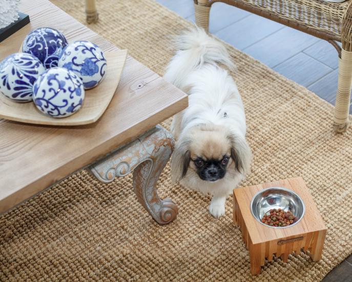 Ahşap Tasarım Kedi-Köpek Mama ve Su Kabı