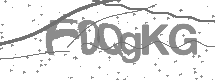 Doğrulama Kodu